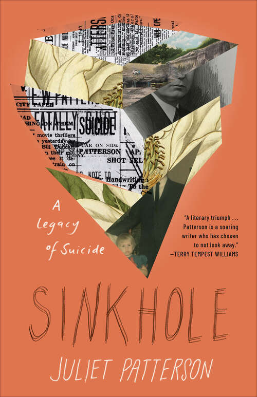 Book cover of Sinkhole: A Legacy of Suicide