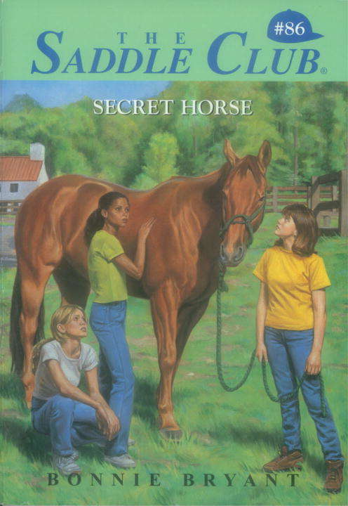 Book cover of Secret Horse (Saddle Club #86)