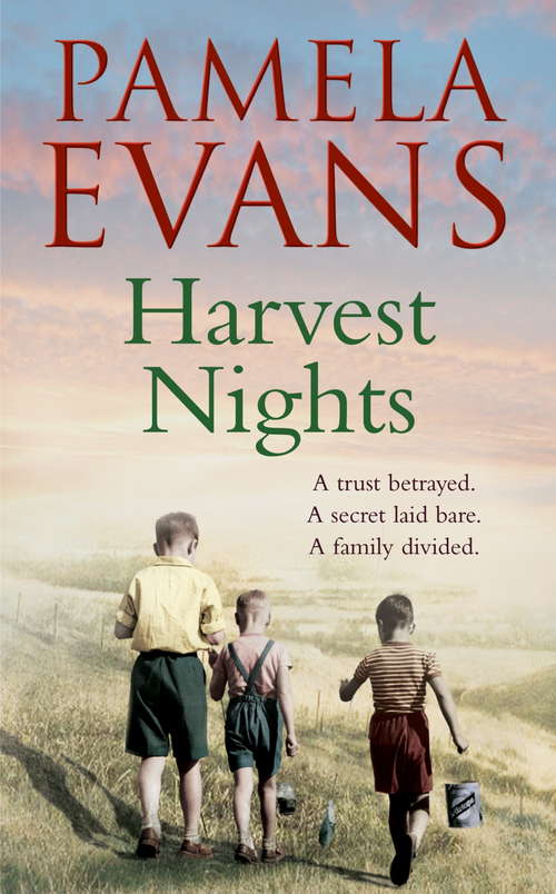 Book cover of Harvest Nights: A trust betrayed. A secret laid bare. A family divided.