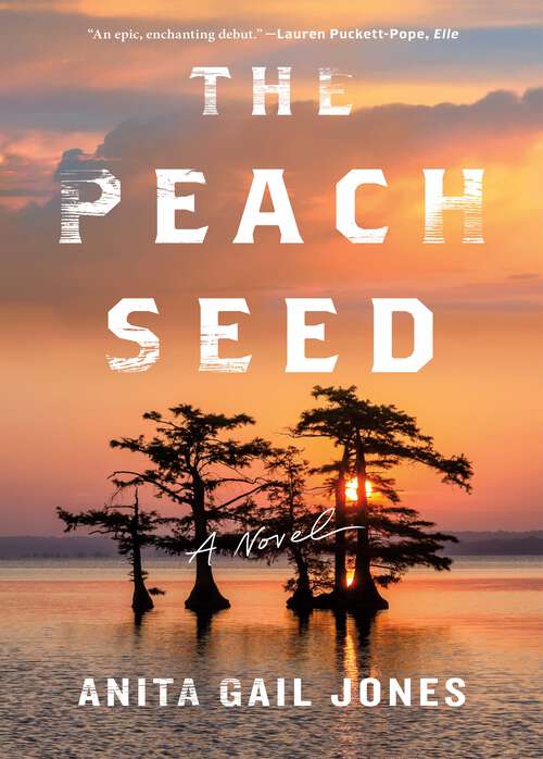 Book cover of The Peach Seed: A Novel
