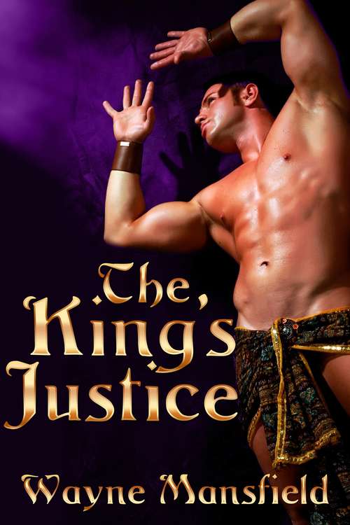 Book cover of The King's Justice (The King's Consort #2)
