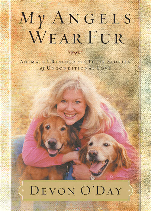 Book cover of My Angels Wear Fur: Animals I Rescued and Their Stories of Unconditional Love