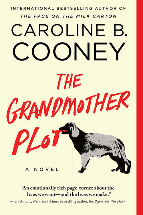 Book cover of The Grandmother Plot: A Novel