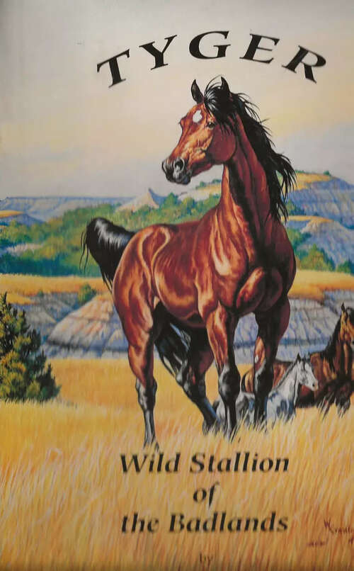 Book cover of Tyger: Wild Stallion of the Badlands