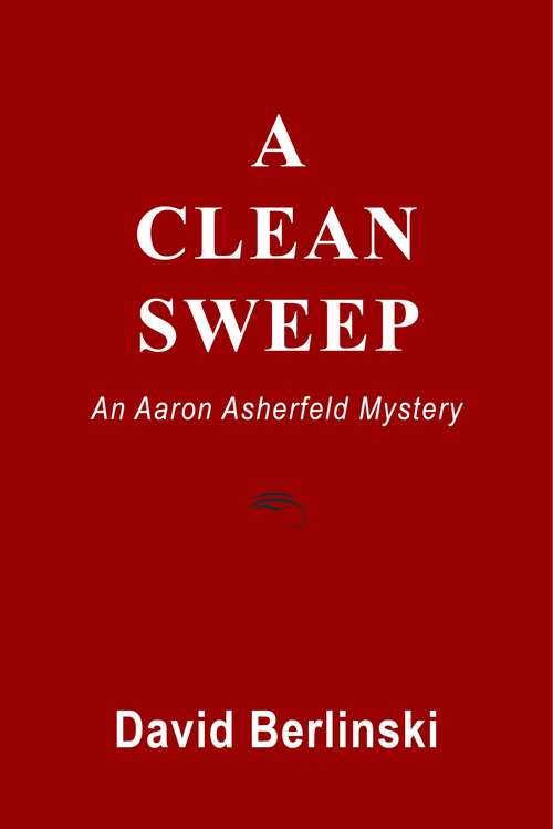 Book cover of A Clean Sweep