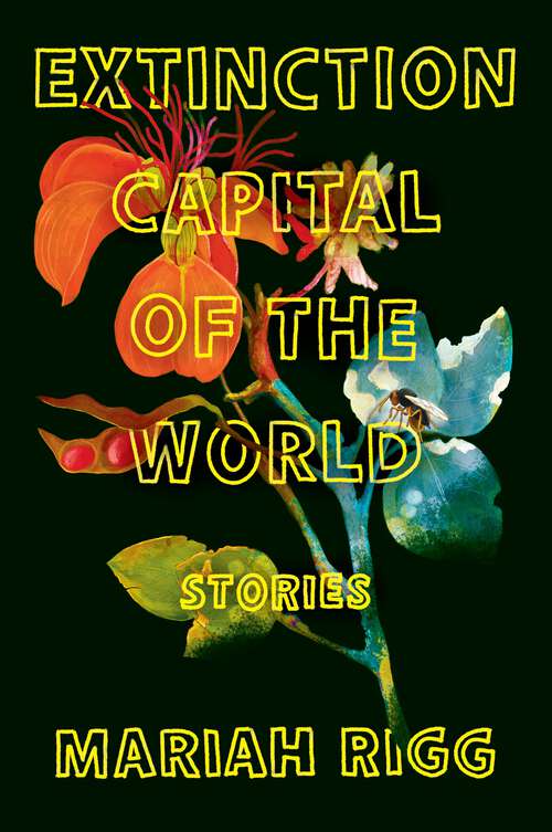 Book cover of Extinction Capital of the World: Stories