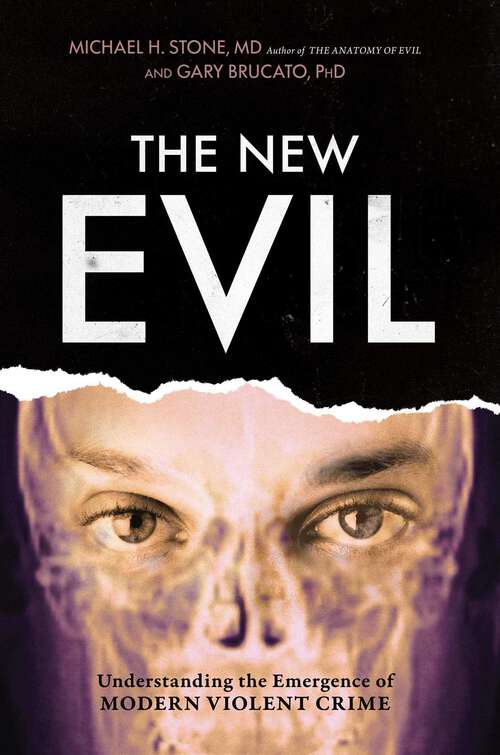 Book cover of New Evil: Understanding the Emergence of Modern Violent Crime