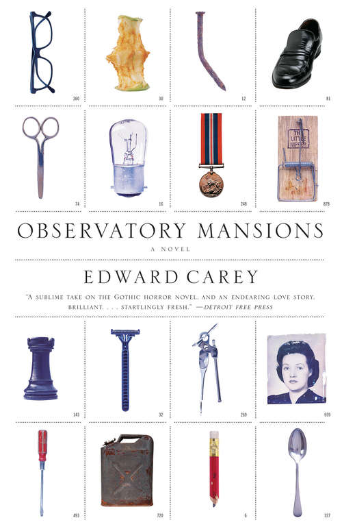 Observatory Mansions: A Novel (Vintage Contemporaries)