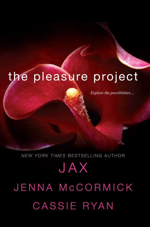 Book cover of The Pleasure Project