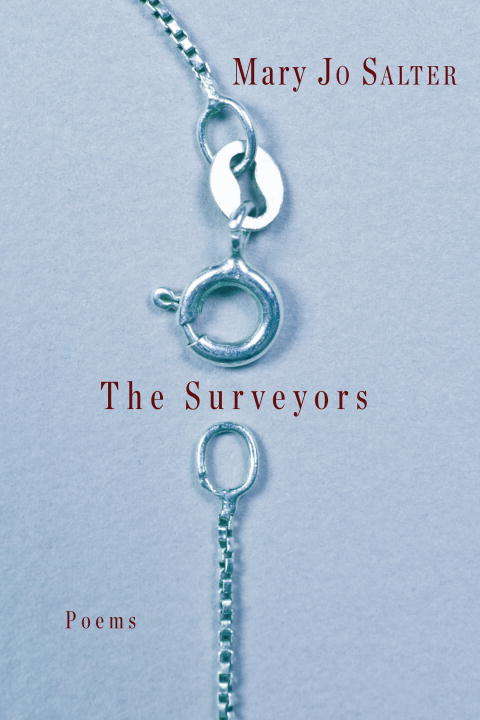 Book cover of The Surveyors: Poems
