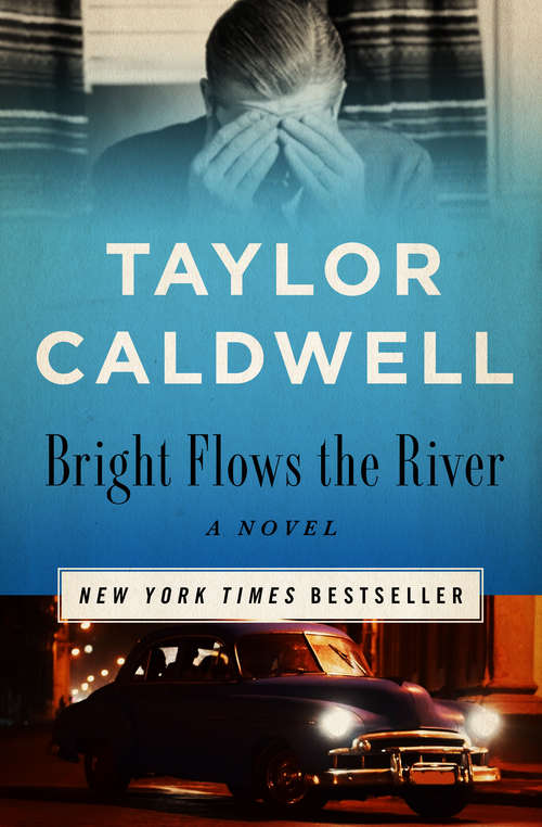 Book cover of Bright Flows the River: A Novel