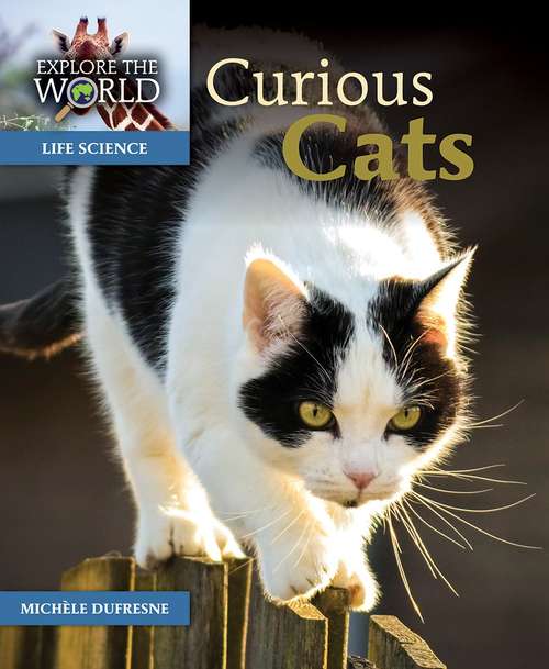 Book cover of Curious Cats: Explore The World, Level N