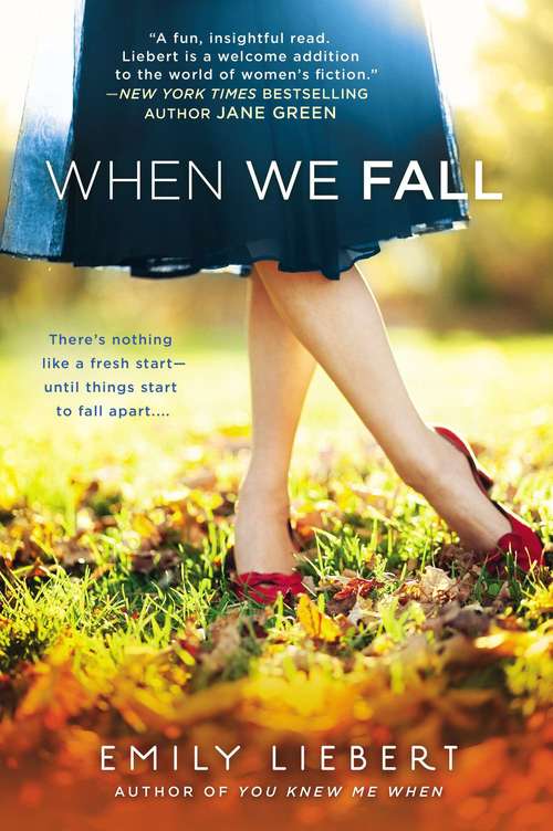 Book cover of When We Fall