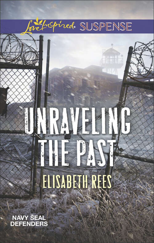 Book cover of Unraveling the Past: The Christmas Target Abducted Unraveling The Past (Navy SEAL Defenders #4)