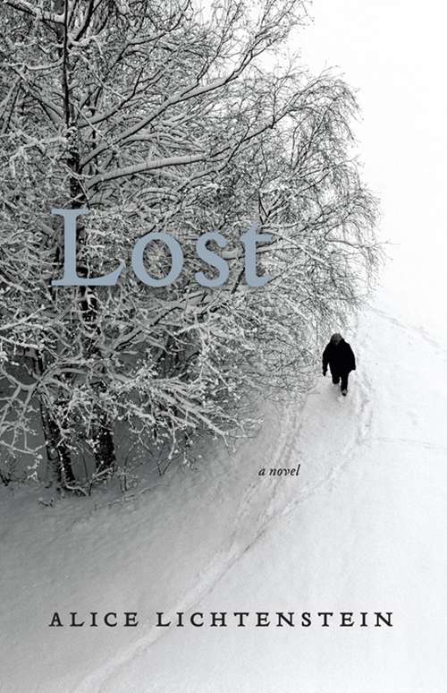 Book cover of Lost: A Novel