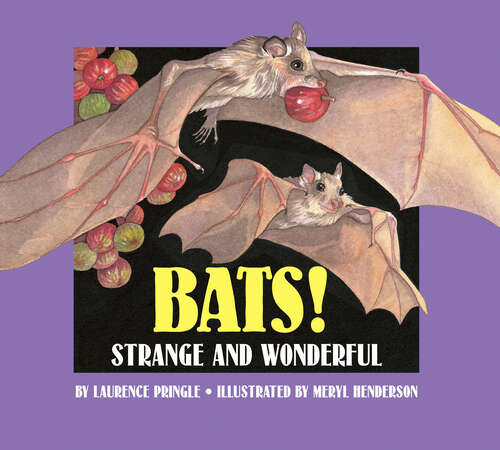 Book cover of Bats!: Strange and Wonderful (Strange and Wonderful)