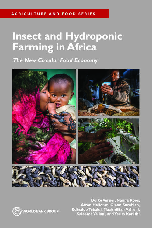 Book cover of Insect and Hydroponic Farming in Africa: The New Circular Food Economy (Agriculture and Food Series)