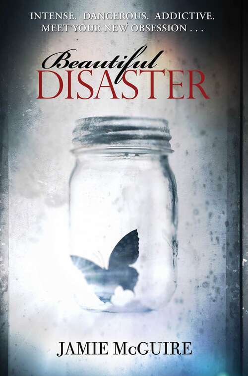 Beautiful Disaster: A Novel (Beautiful Disaster Series)