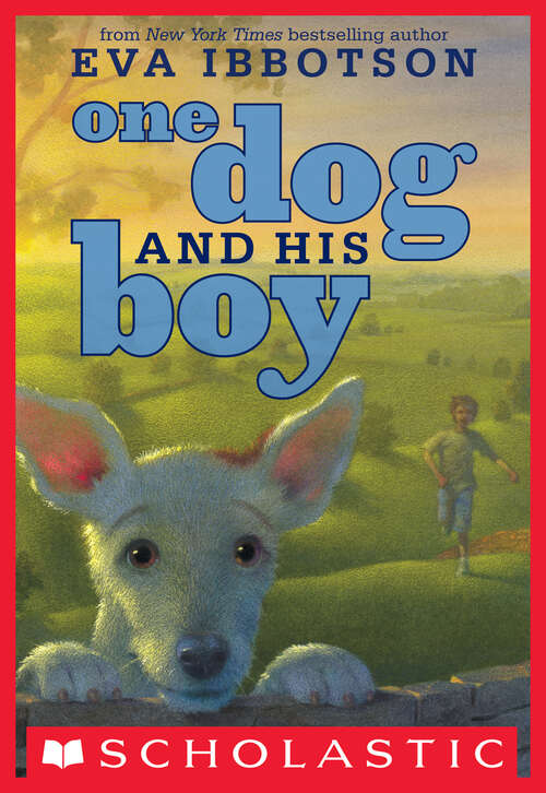 Book cover of One Dog and His Boy