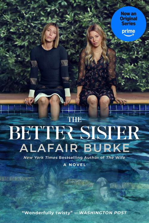 Book cover of The Better Sister: A Novel
