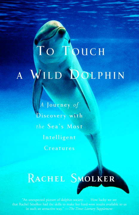 Book cover of To Touch a Wild Dolphin