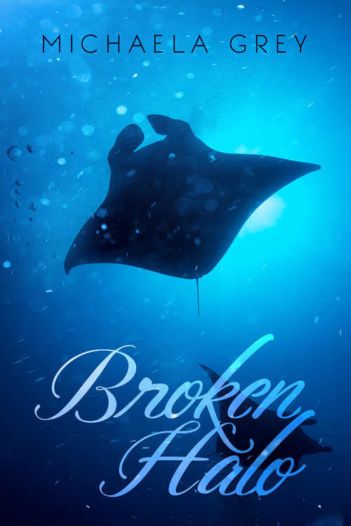 Book cover of Broken Halo