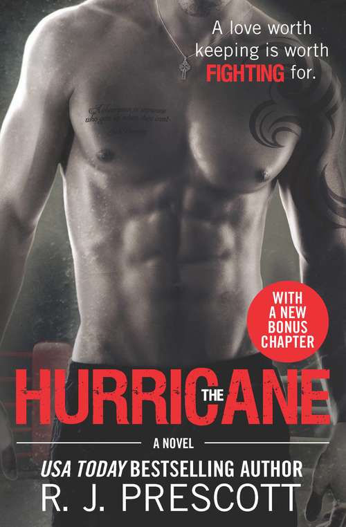 The Hurricane (The Hurricane #1)