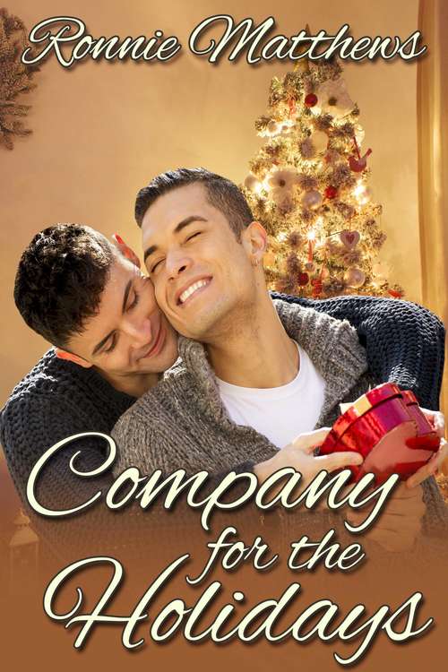 Book cover of Company for the Holidays