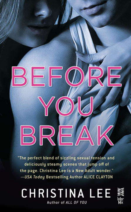 Book cover of Before You Break