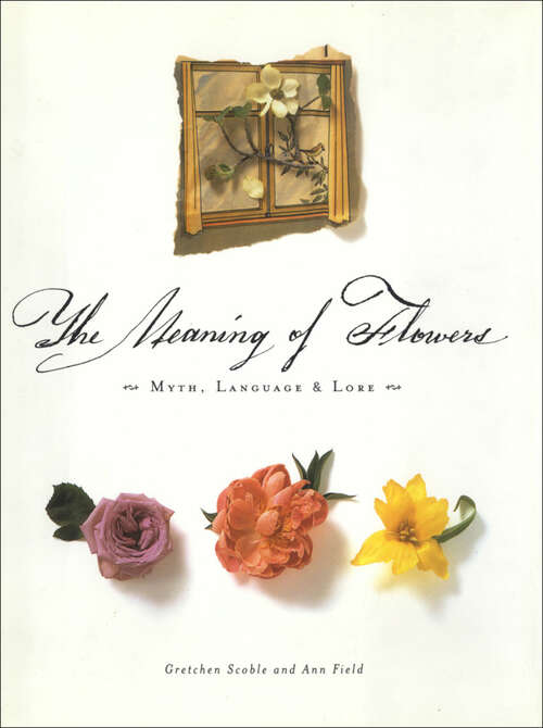 Book cover of The Meaning of Flowers: Myth, Language & Lore