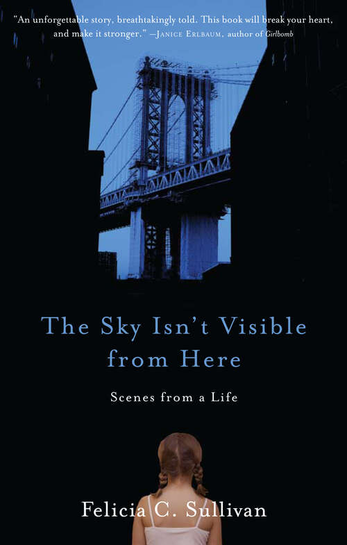 Book cover of The Sky Isn't Visible from Here: Scenes from a Life