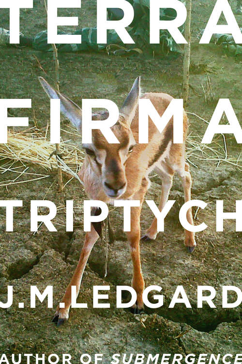 Book cover of Terra Firma Triptych