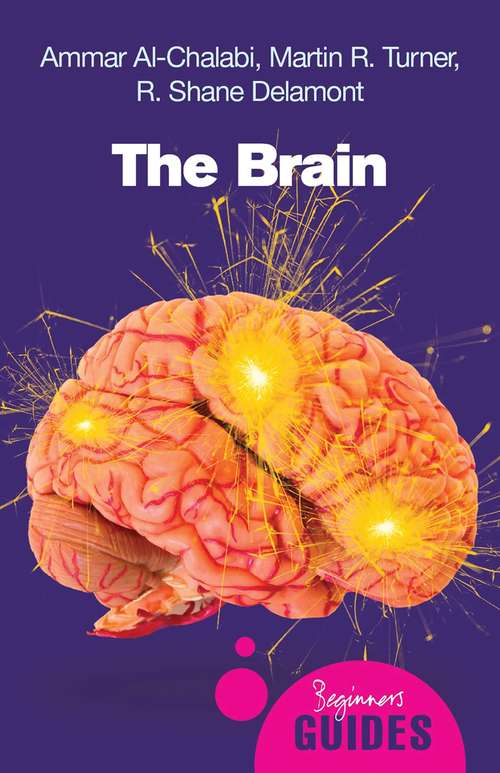 The Brain: A Beginner's Guide (Beginner's Guides)