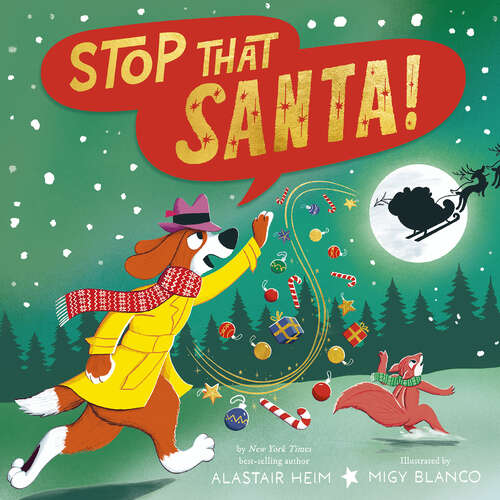 Book cover of Stop That Santa!