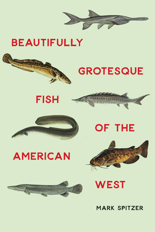 Book cover of Beautifully Grotesque Fish of the American West (Outdoor Lives)