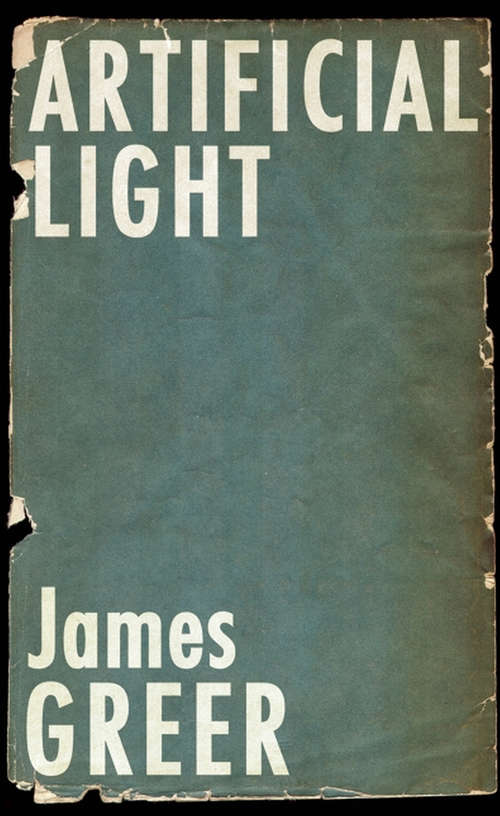 Book cover of Artificial Light