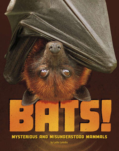Book cover of Bats!
