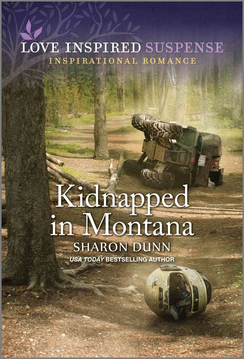 Book cover of Kidnapped in Montana (Original)