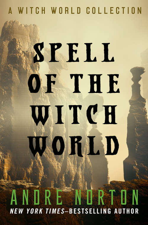 Book cover of Spell of the Witch World