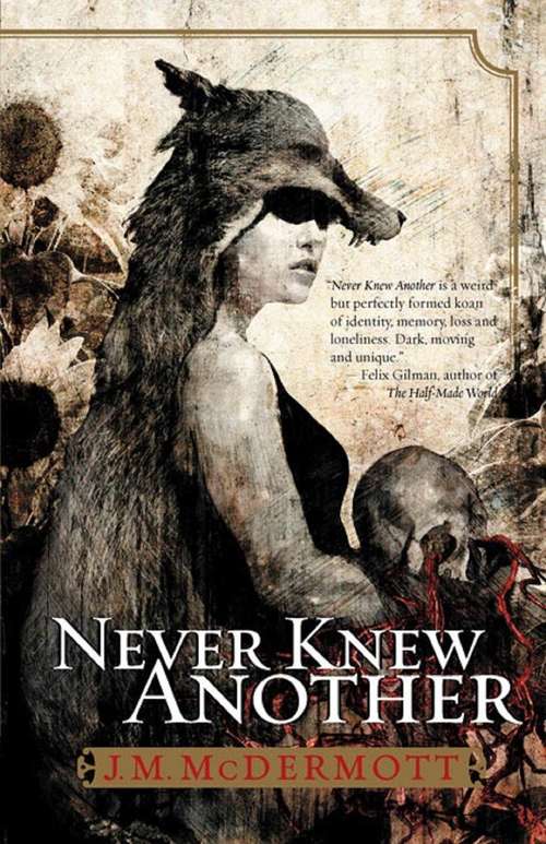 Book cover of Never Knew Another