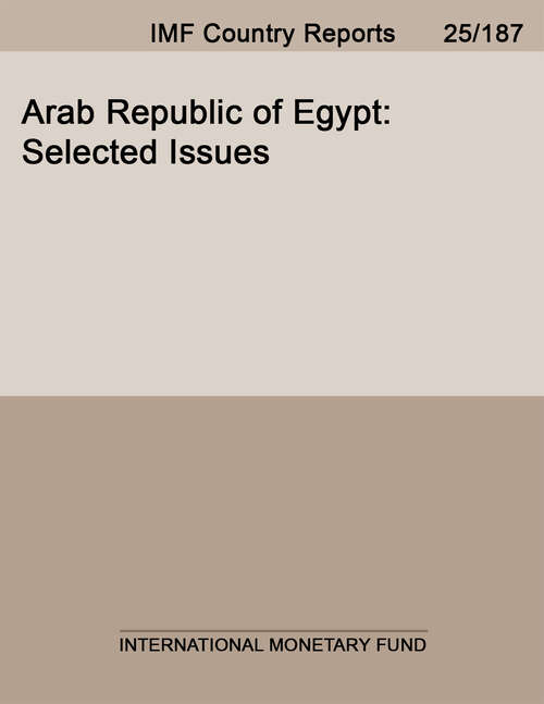 Book cover of Arab Republic of Egypt: Selected Issues