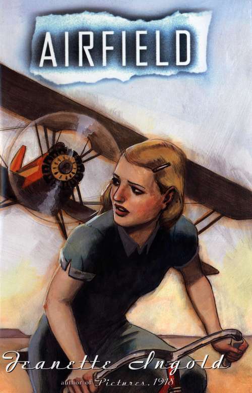 Book cover of Airfield