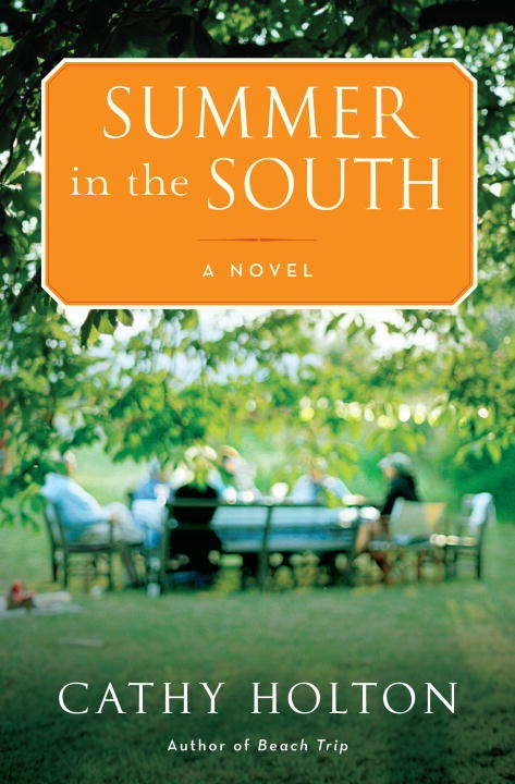Book cover of Summer in the South