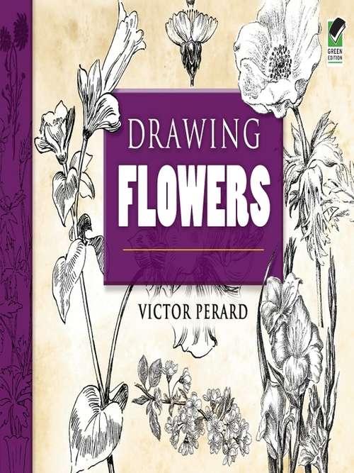 Book cover of Drawing Flowers