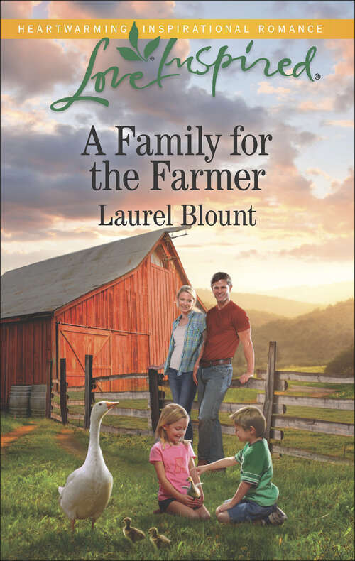 Book cover of A Family for the Farmer