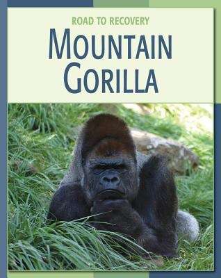 Book cover of Mountain Gorilla (Road to Recovery)