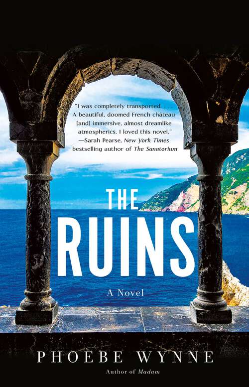 Book cover of The Ruins: A Novel