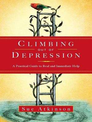 Book cover of Climbing Out of Depression