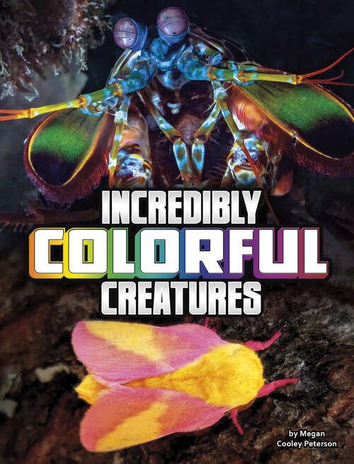 Book cover of Incredibly Colorful Creatures (Unreal But Real Animals Ser.)