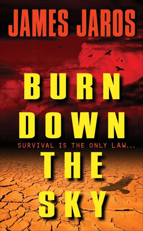 Book cover of Burn Down the Sky